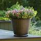 Walmart Better Homes And Gardens Planters