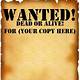 Wanted Poster Word Template