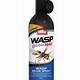 Wasp Spray 30 Feet Home Depot