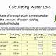 Water Loss Calculator