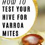 How To Check For Varroa Mites