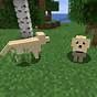 How To Find Dogs In Minecraft