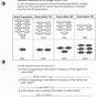 Evolution Worksheets