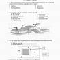 Transport In Cells Worksheet