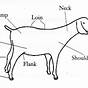 Goat Parts Diagram