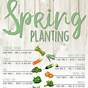 Vegetable Garden Planting Chart