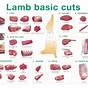 Veal Meat Cuts Chart