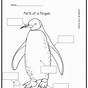 Free Penguin Worksheets