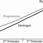 Estrogen Progesterone Ratio Chart