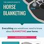 Horse Blanketing Temp Chart