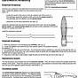 Earthworm Anatomy Worksheet