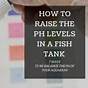 Tropical Fish Tank Ph Levels