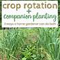Crop Rotation In Home Vegetable Garden
