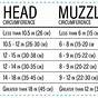 Rex Specs Size Chart