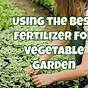 Vegetable Garden Fertilizer Recommendations
