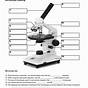 Microscope Labeling Worksheet Answers