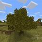 Texture Leaves Minecraft