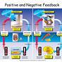Positive And Negative Feedback Quiz