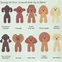 Toy Poodle Color Chart