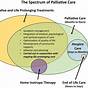 Palliative Care Circling Serious Illness Diagram