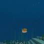 What Can You Do With Tropical Fish In Minecraft