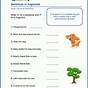 1st Grade Grammar Worksheets