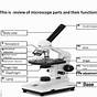 Microscope Parts And Functions Worksheet