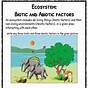 Ecosystem 3rd Grade Worksheet
