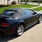 1999 Ford Mustang Cobra Hp