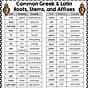 Greek And Latin Roots Worksheets