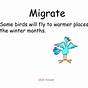 Printable Animals That Migrate In Winter