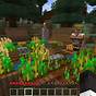 Best Texture Packs For Minecraft Ps4