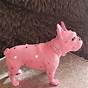 French Bulldog Pink Gene
