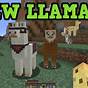 How To Feed Llamas In Minecraft
