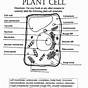 Comparing Cells Worksheet