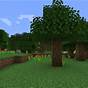 How To Farm Mangrove Trees Minecraft