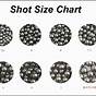 12ga Shot Size Chart