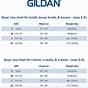 Gildan Shirt Size Chart Youth