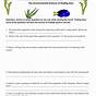 Finding Nemo Ecology Worksheet