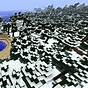 Snowy Biome Minecraft