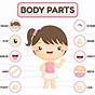 Body Parts Chart For Kids