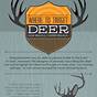 Deer Rifle Recoil Chart