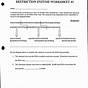 Restriction Enzyme Worksheet Answers