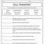 Cell Parts Matching Worksheet