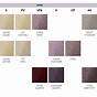 Goldwell Gloss Tones Color Chart