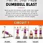 Full Body Circuit With Dumbbells