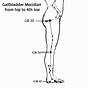 Gallbladder Meridian Points Chart