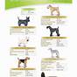 Hair Length Sample Chart For Dog Grooming