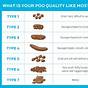 Toddler Poo Colour Chart Nhs