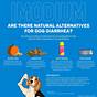 Imodium Tablet Dosage For Dogs Chart